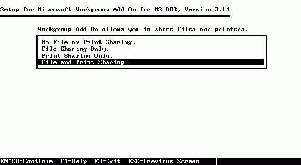  Microsoft Workgroup Add-On for MS-DOS