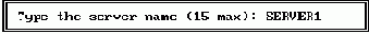     Novell NetWare Lite